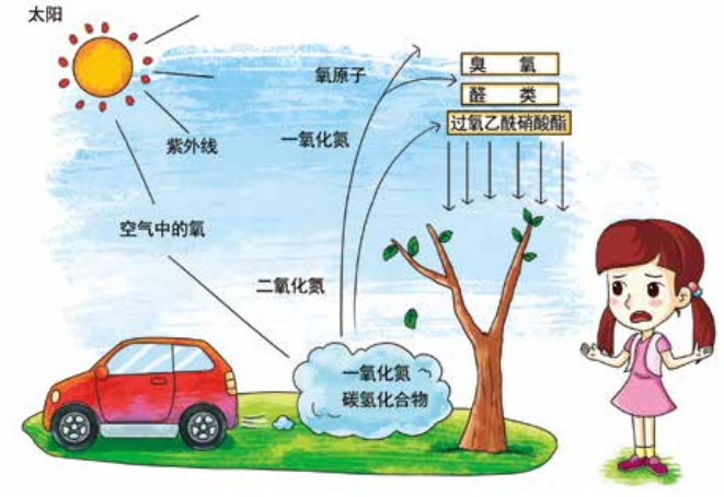 臭氧知識科普（2） | 臭氧跟光化學煙霧、PM2.5有什么關系？