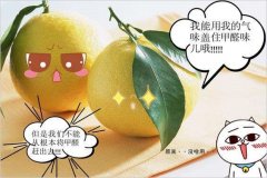 去除甲醛的方法多種多樣，哪種最實用靠譜